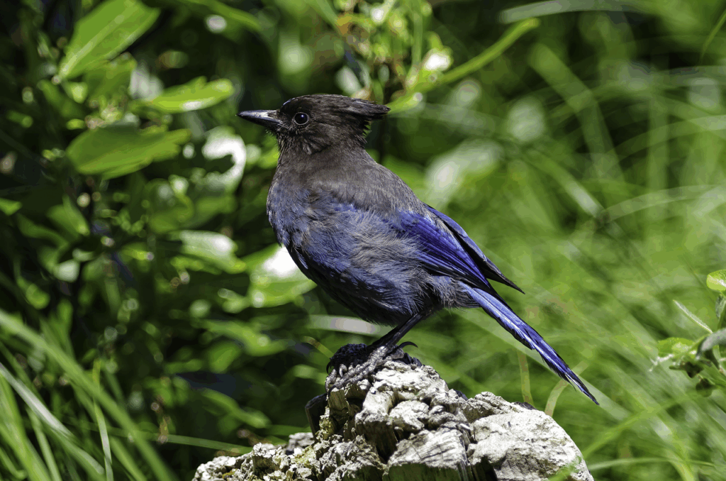 découvrez comment maximiser le retour sur investissement (roi) de votre recrutement commercial grâce à des stratégies efficaces et ciblées.