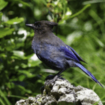 Budget recrutement commercial Dijon : ROI et optimisation