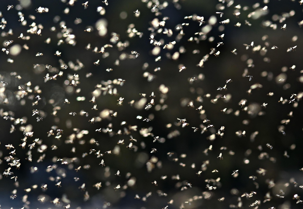 découvrez comment maximiser le retour sur investissement de votre recrutement commercial grâce à des stratégies efficaces et un processus optimisé.