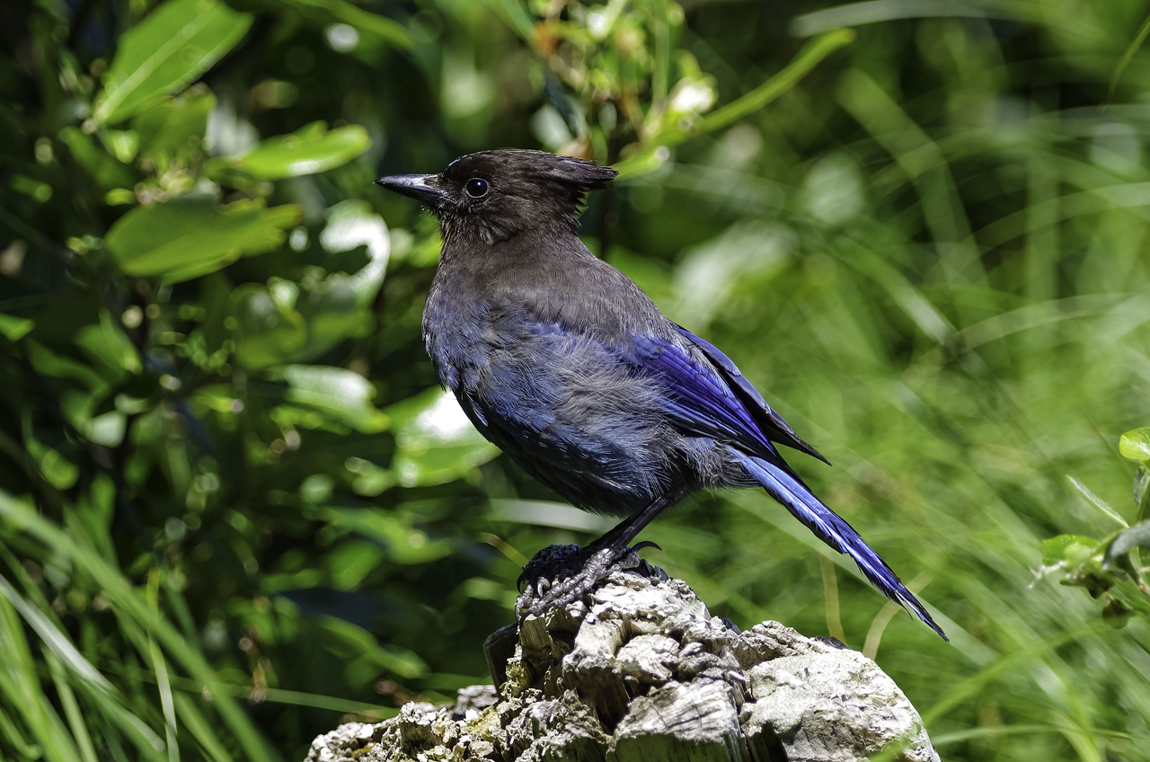 Budget recrutement commercial Dijon : ROI et optimisation