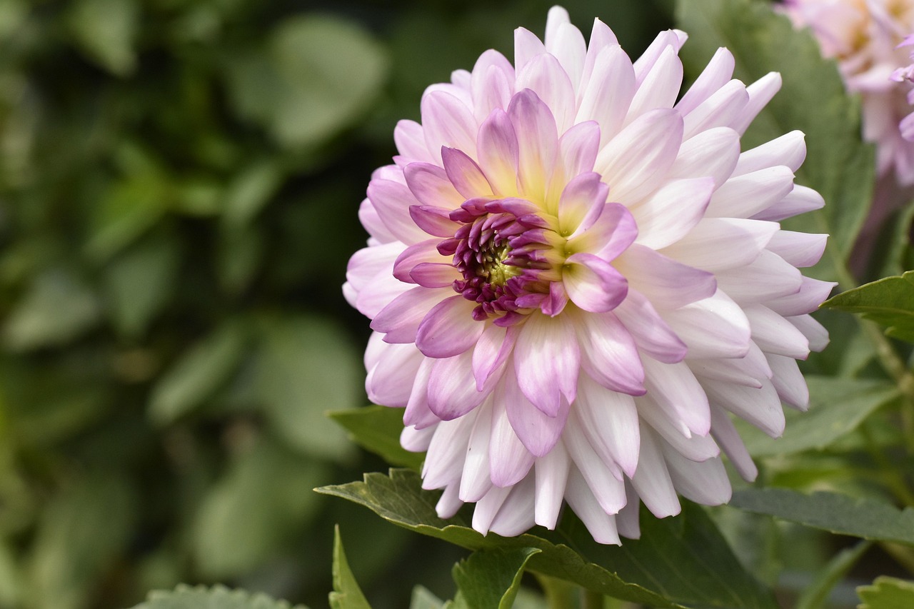 recherchez un représentant commercial expérimenté en côte-d'or pour développer vos ventes et renforcer votre présence sur le marché local.