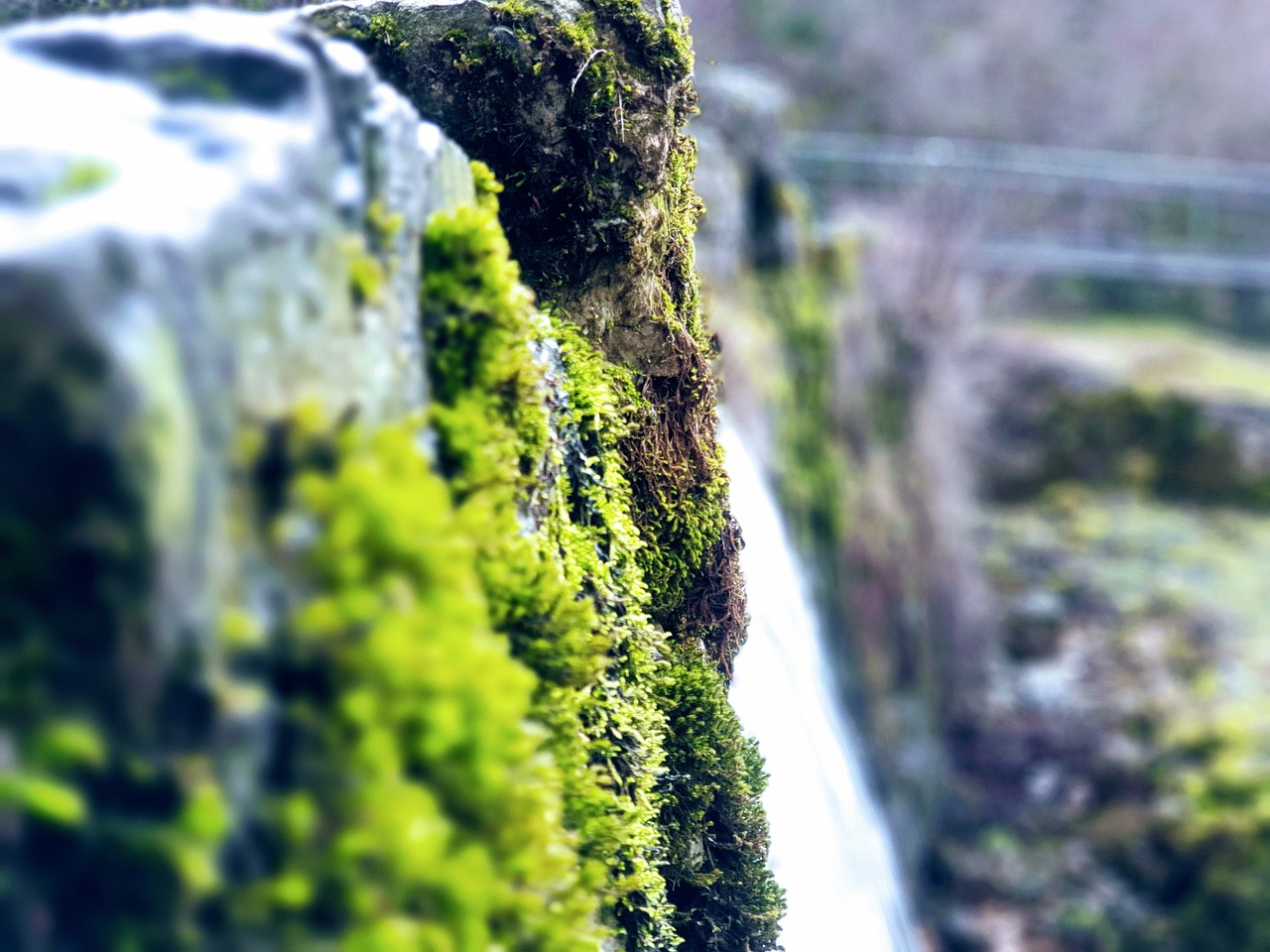 découvrez les opportunités d'affaires en bourgogne-franche-comté, une région dynamique offrant un cadre idéal pour le développement entrepreneurial et l'investissement.