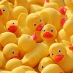 Concurrence territoriale : Dijon face aux métropoles voisines