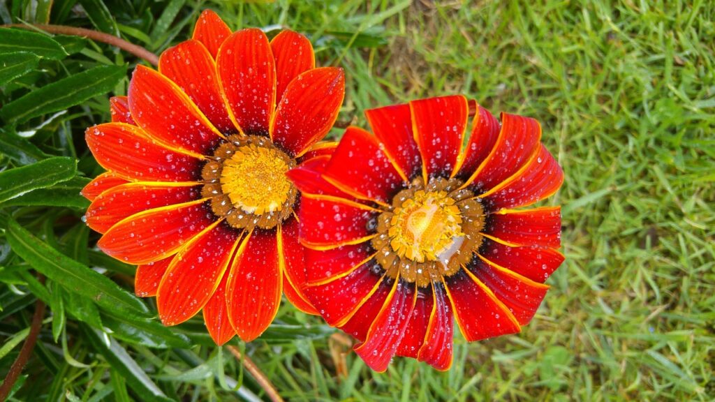 découvrez comment la synergie entre le tourisme et le commerce stimule la croissance économique locale en offrant des expériences uniques aux visiteurs et en dynamisant les entreprises.