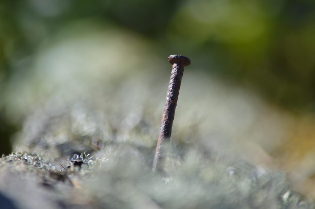 découvrez des stratégies efficaces et des conseils pratiques pour réussir votre négociation salariale et maximiser votre rémunération.